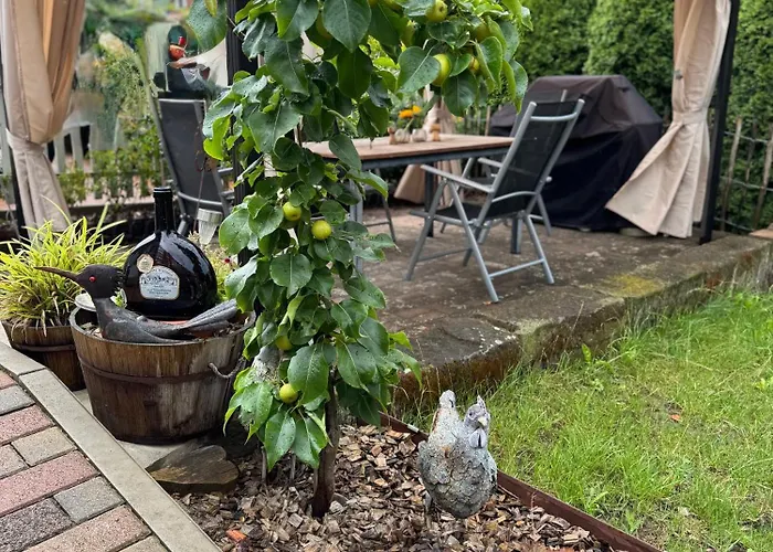Silvaner In Fraenkischer Weinregion Ipsheim